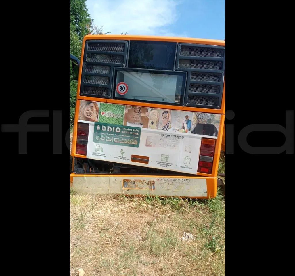 BredaMenarinibus M 240/E3 NU - Autobús urbano: foto 3 BredaMenarinibus M 240/E3 NU - Autobús urbano: foto 3