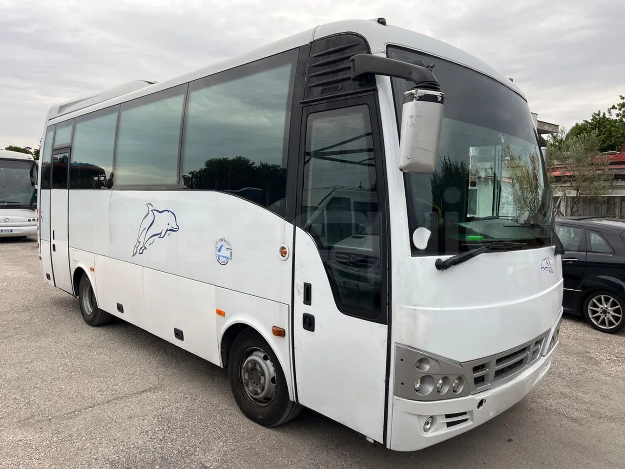 Autocar Isuzu Turquoise: foto 1