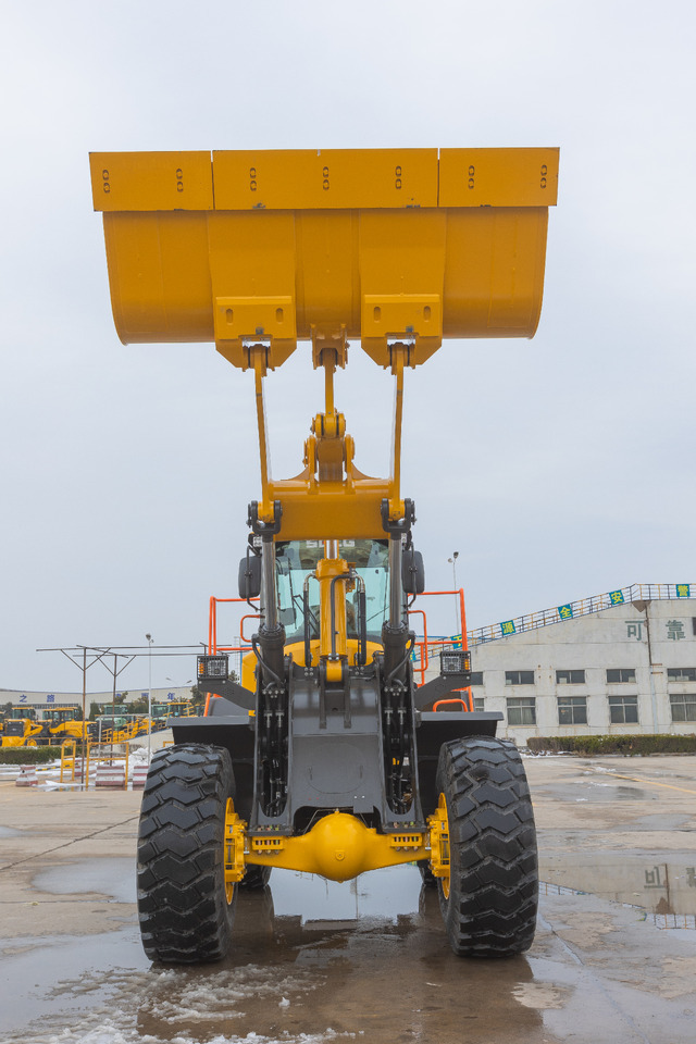 Cargadora de ruedas nuevo SDLG L958H: foto 9