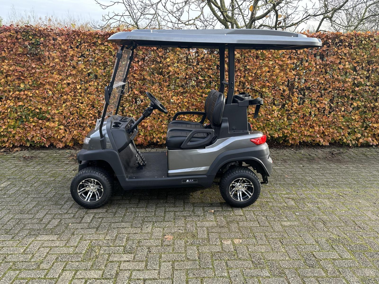 OX ZG2 2-zit Golfkar Grijs (Demo) - Carrito de golf: foto 3 OX ZG2 2-zit Golfkar Grijs (Demo) - Carrito de golf: foto 3