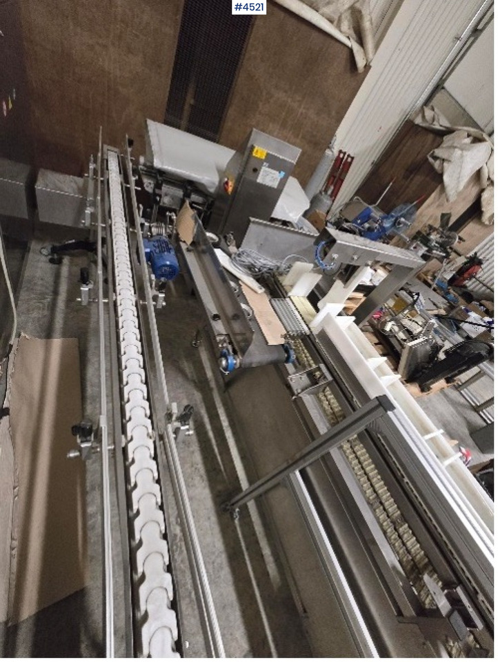 Maquinaria de embalaje 2010 Newtec, Fischer and Record Scorpion cup fruit packer line: foto 1