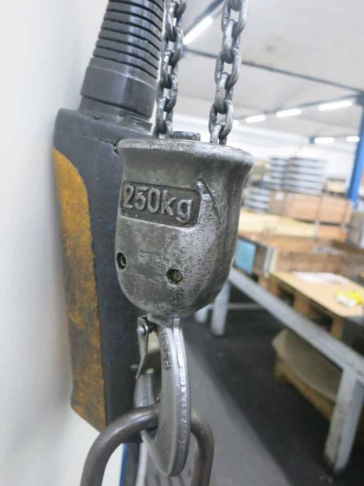 Demag 250 kg - Grúa: foto 3 Demag 250 kg - Grúa: foto 3