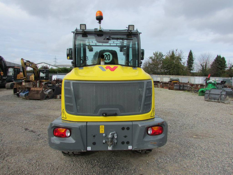 Cargadora de ruedas WACKER NEUSON WL 60 Radlader 48.500 EUR: foto 8