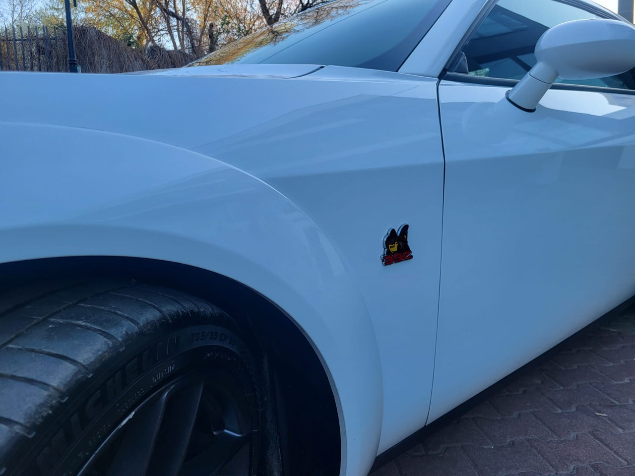 Coupé Dodge Challenger: foto 30 Coupé Dodge Challenger: foto 30