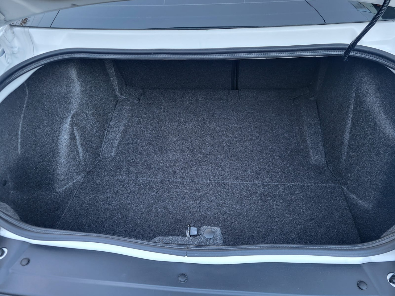 Coupé Dodge Challenger: foto 17 Coupé Dodge Challenger: foto 17