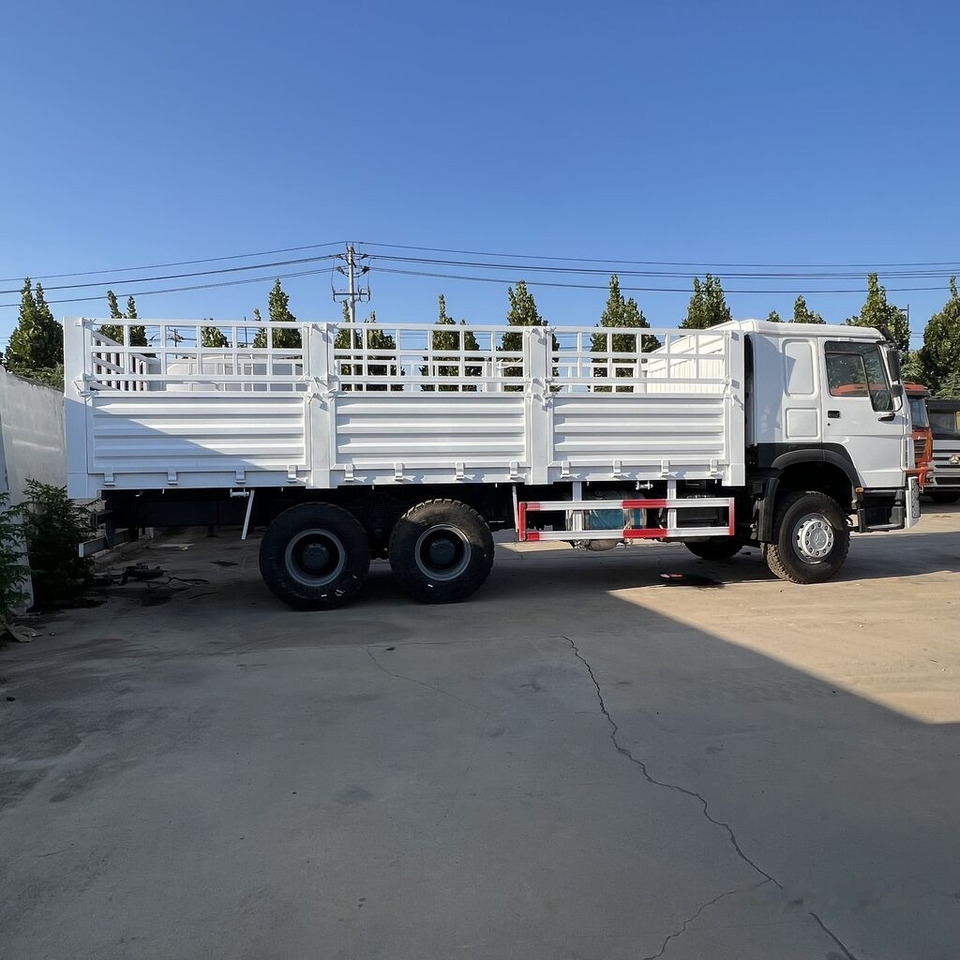 Camión caja abierta Howo 6*4 flatbed truck: foto 6
