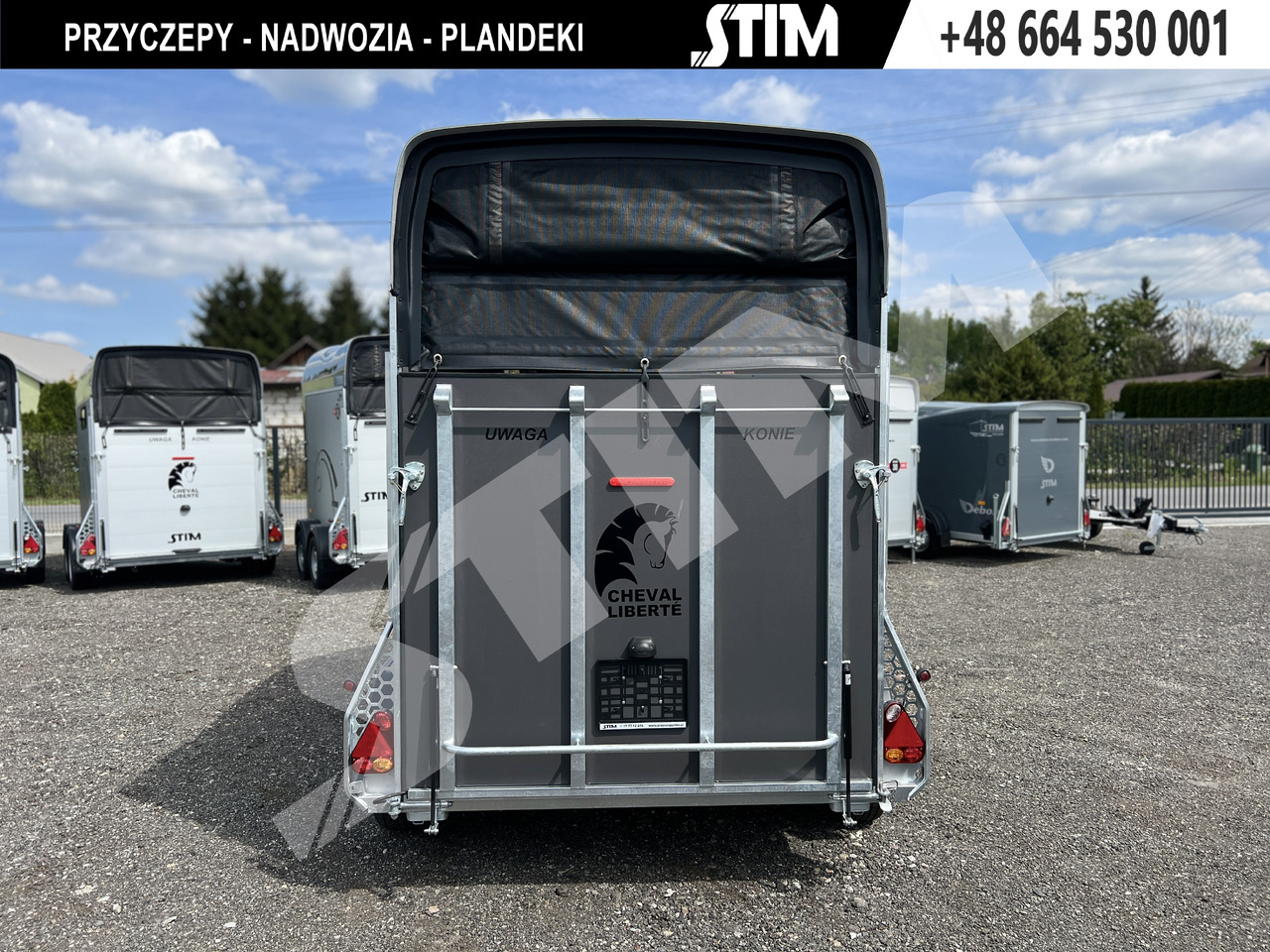 Cheval Liberté GOLD ORIGINS PODŁOGA ALU, BOKI SKLEJKA PPL - Remolque para caballos: foto 5 Cheval Liberté GOLD ORIGINS PODŁOGA ALU, BOKI SKLEJKA PPL - Remolque para caballos: foto 5