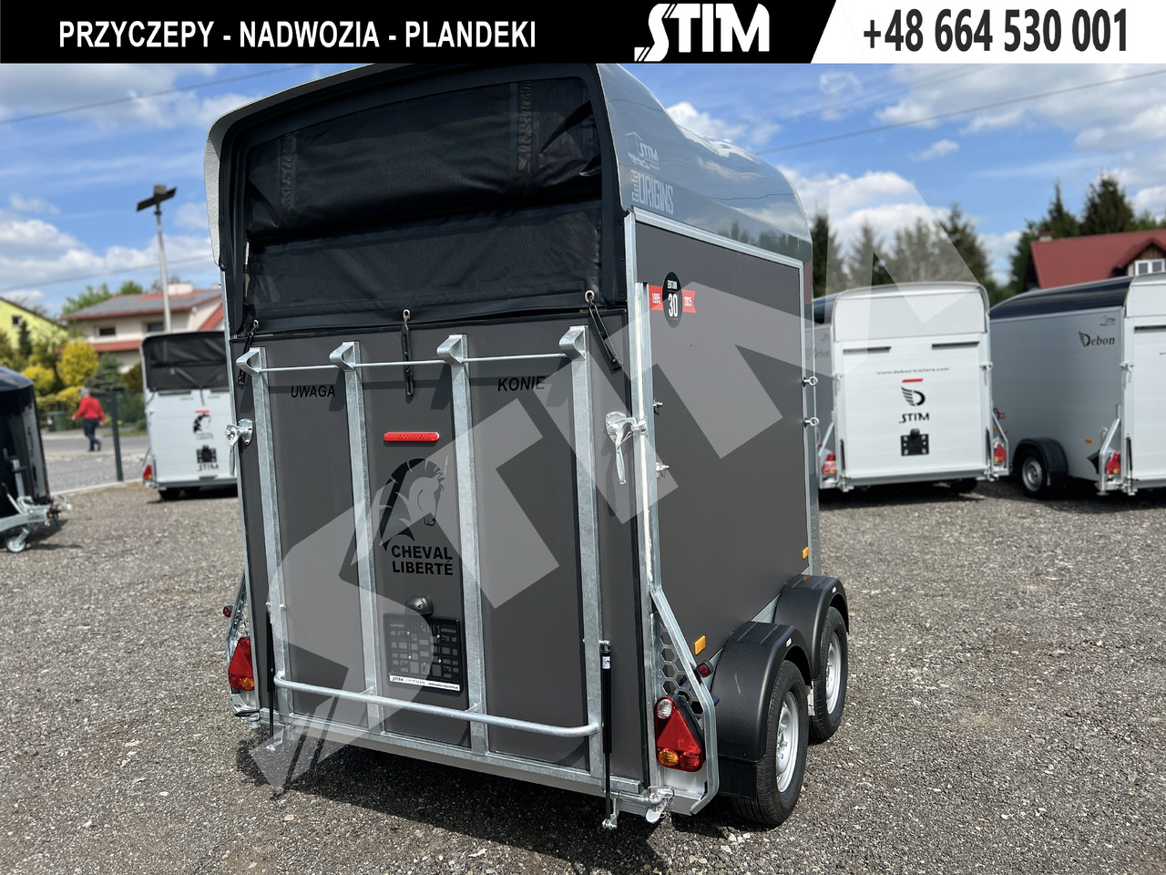 Cheval Liberté GOLD ORIGINS PODŁOGA ALU, BOKI SKLEJKA PPL - Remolque para caballos: foto 4 Cheval Liberté GOLD ORIGINS PODŁOGA ALU, BOKI SKLEJKA PPL - Remolque para caballos: foto 4