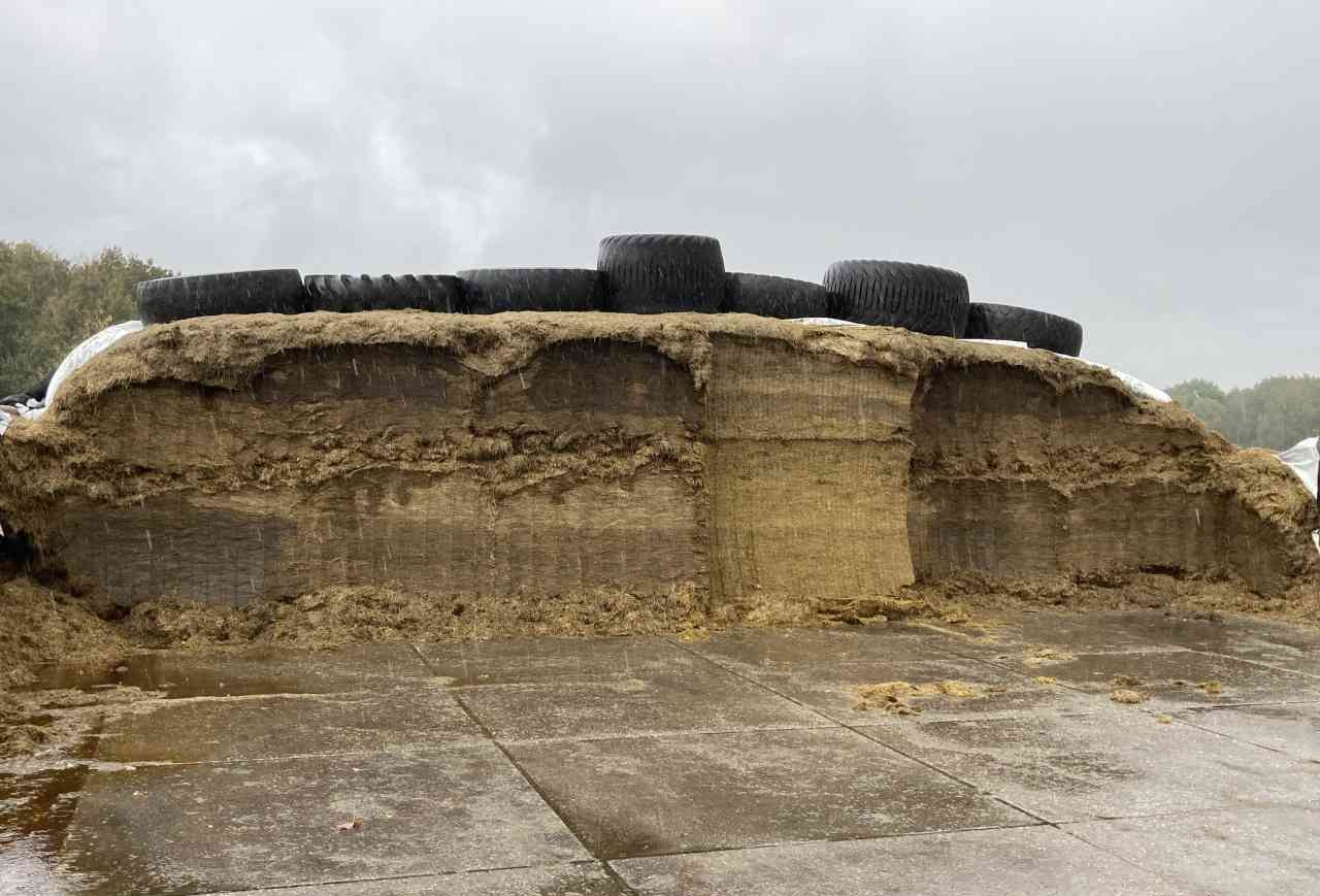 Flingk KHXL 1724 Kuilhapper Demo voermachines - Equipo para silos: foto 5 Flingk KHXL 1724 Kuilhapper Demo voermachines - Equipo para silos: foto 5