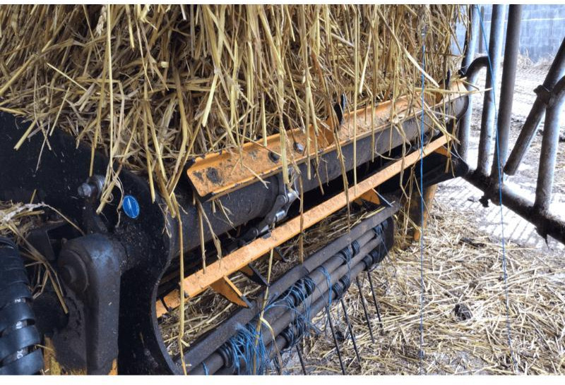 EMILY DELTA - Desensiladora: foto 2 EMILY DELTA - Desensiladora: foto 2