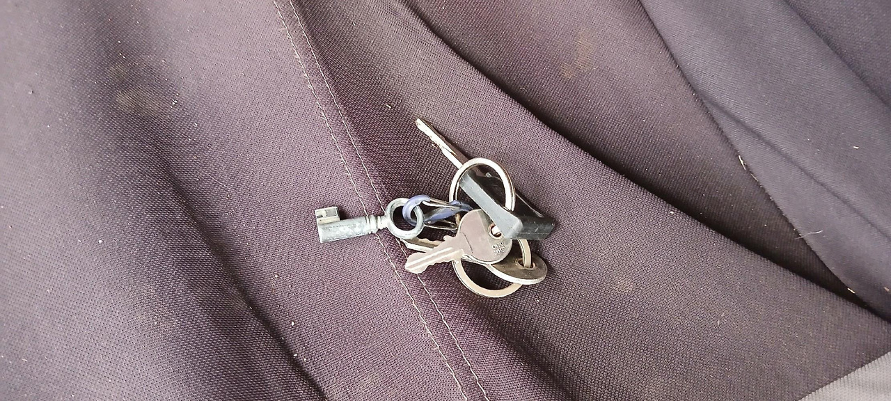 Camión para caballos RENAULT M180 PORTEUR BETAILLERE: foto 14