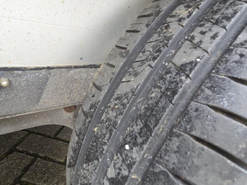 Remolque para caballos Böckmann, Pferdeanhänger, Champion, 100 km/h: foto 9