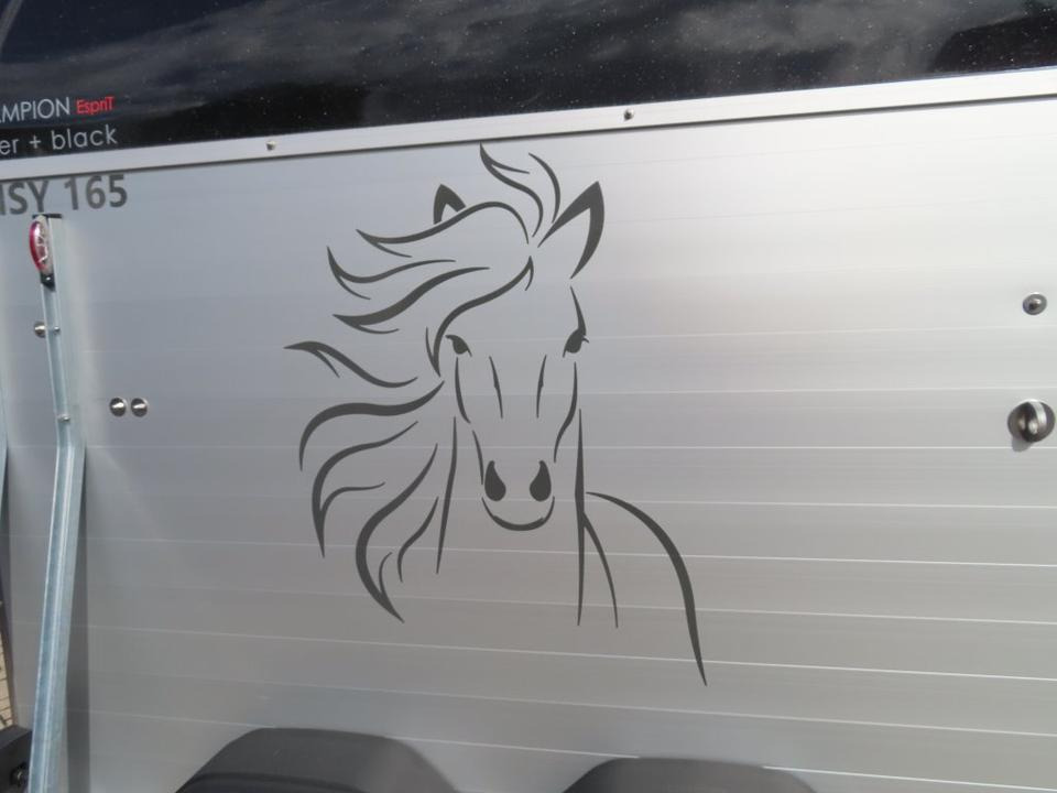 Böckmann Pferdeanhänger Champion Esprit ISY Sattelkammer 100km/h - Remolque para caballos: foto 3 Böckmann Pferdeanhänger Champion Esprit ISY Sattelkammer 100km/h - Remolque para caballos: foto 3