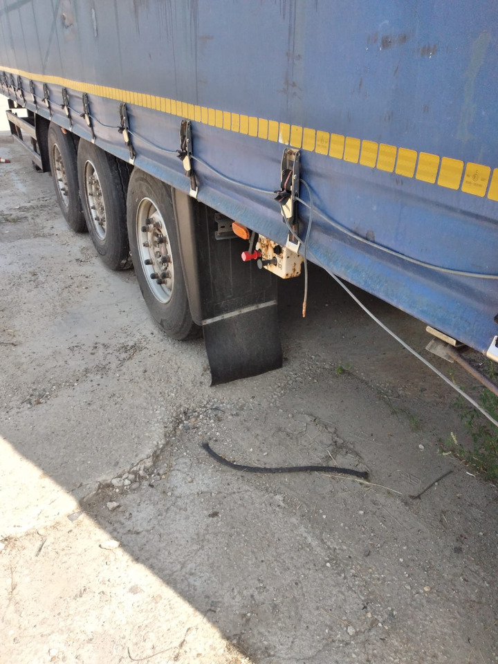 Semirimorchio centinato - Semirremolque lona: foto 4 Semirimorchio centinato - Semirremolque lona: foto 4