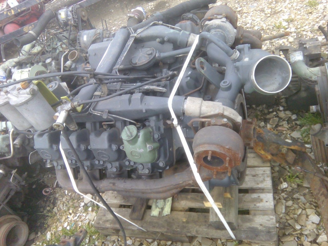 OM 442 Biturbo - Motor para Camión: foto 2 OM 442 Biturbo - Motor para Camión: foto 2