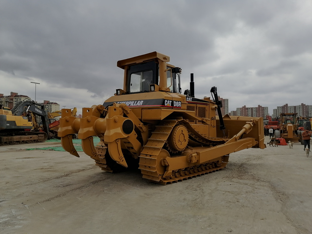 CATERPILLAR D8R Bulldozer Click for Discount - Bulldozer: foto 3 CATERPILLAR D8R Bulldozer Click for Discount - Bulldozer: foto 3