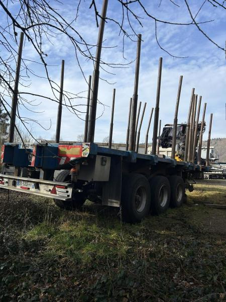 Diebolt grue avec grappin rotatif - Semirremolque maderero: foto 4 Diebolt grue avec grappin rotatif - Semirremolque maderero: foto 4