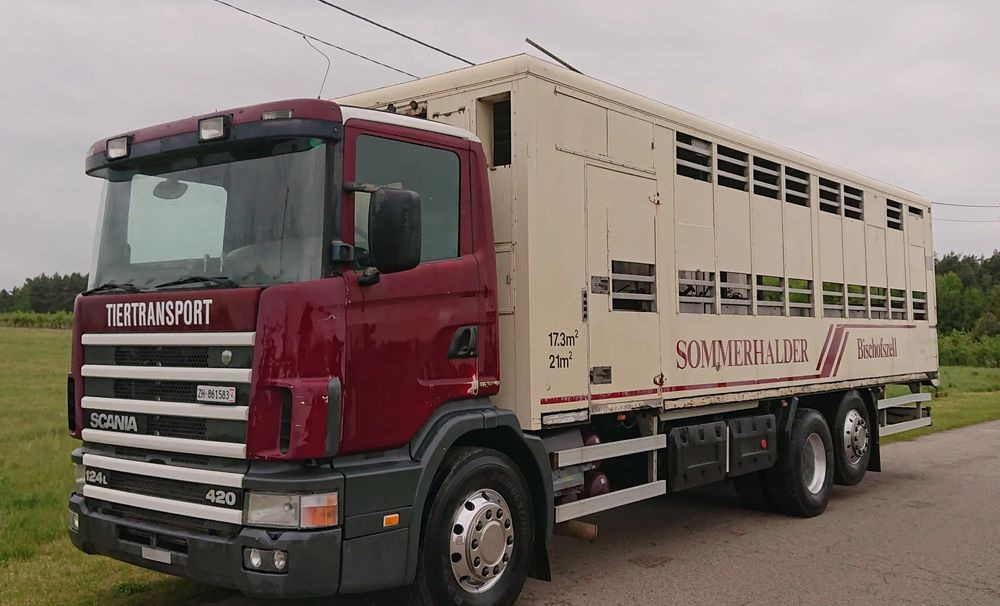 Scania 124 420 Do żywca - Camión transporte de ganado: foto 1 Scania 124 420 Do żywca - Camión transporte de ganado: foto 1