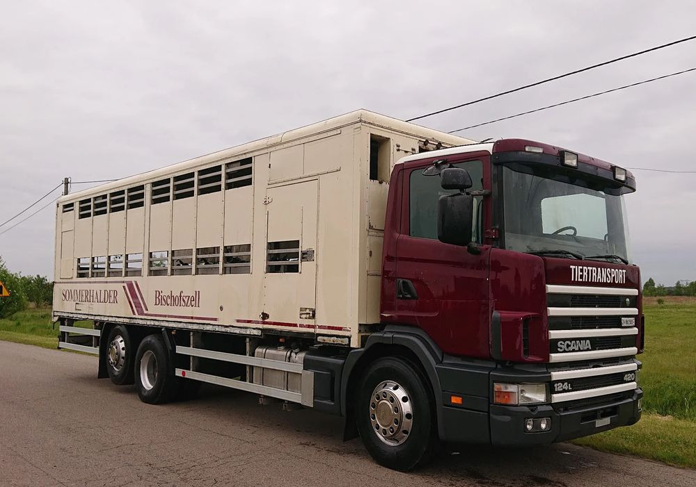 Scania 124 420 Do żywca - Camión transporte de ganado: foto 2 Scania 124 420 Do żywca - Camión transporte de ganado: foto 2