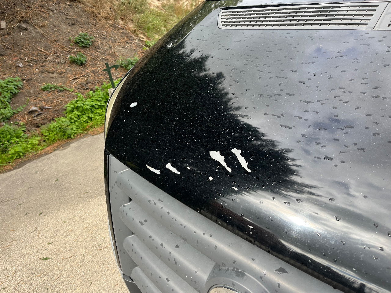 Volkswagen Crafter - Furgón: foto 5 Volkswagen Crafter - Furgón: foto 5