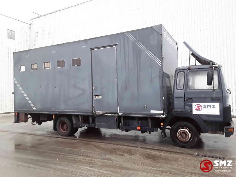 Iveco Magirus 80 16 horse truck - Camión transporte de ganado: foto 4 Iveco Magirus 80 16 horse truck - Camión transporte de ganado: foto 4