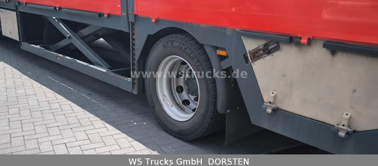 Camión portavehículos DAF CF 75 360 Spezial Radmulden 9,00 m Tielader: foto 9