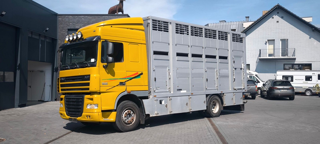 DAF XF 410 SC Menke Doppelstock - Camión para caballos: foto 5 DAF XF 410 SC Menke Doppelstock - Camión para caballos: foto 5