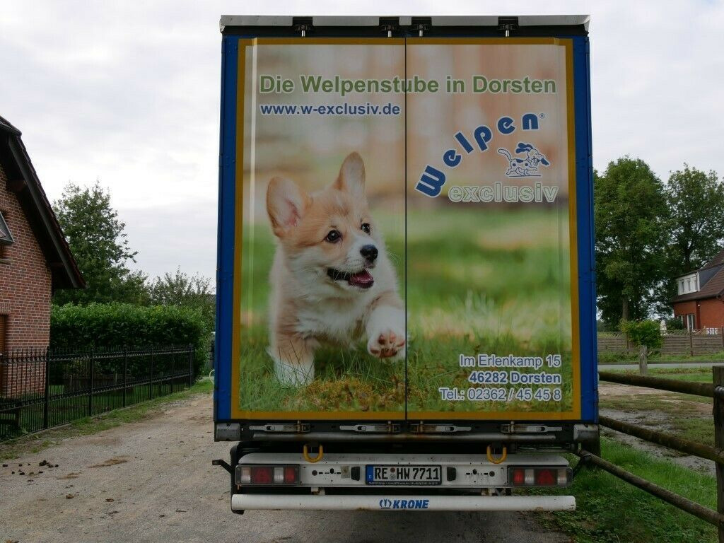 Krone SDP27 Profiliner Edscher XL Top - Semirremolque lona: foto 3 Krone SDP27 Profiliner Edscher XL Top - Semirremolque lona: foto 3