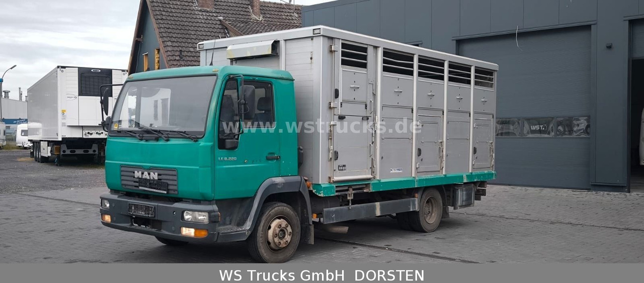 MAN LE 8.220 Menke Einstock Großvieh - Camión transporte de ganado: foto 1 MAN LE 8.220 Menke Einstock Großvieh - Camión transporte de ganado: foto 1