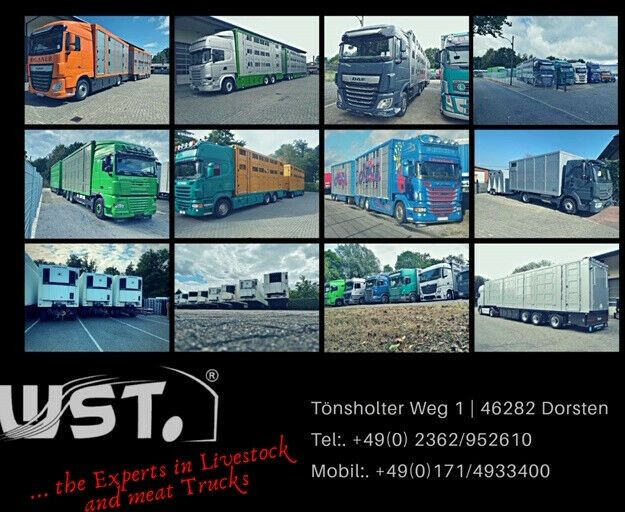 Remolque plataforma/ Caja abierta nuevo WST Edition Pritschenhochlader Tandem NEU: foto 10