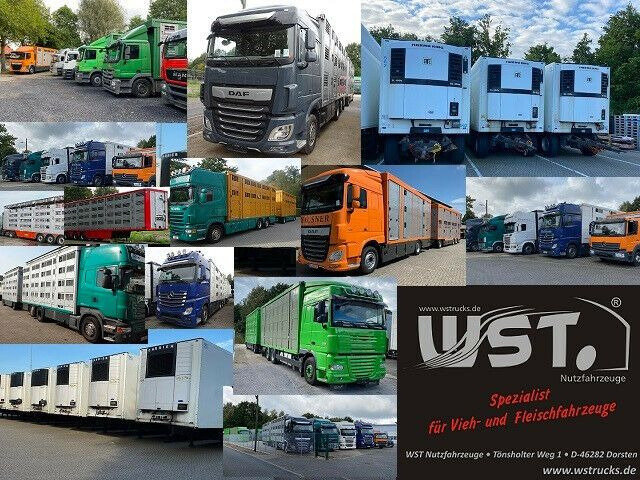 Remolque plataforma/ Caja abierta nuevo WST Edition Pritschenhochlader Tandem NEU: foto 8