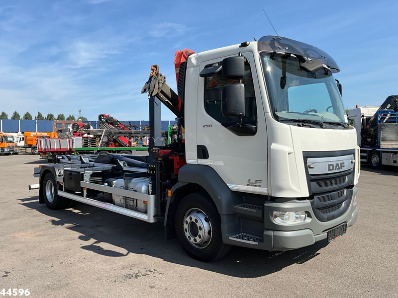 DAF FA LF 250 Euro 6 Palfinger 6,5 Tonmeter laadkraan - Camión multibasculante, Camión grúa: foto 3 DAF FA LF 250 Euro 6 Palfinger 6,5 Tonmeter laadkraan - Camión multibasculante, Camión grúa: foto 3