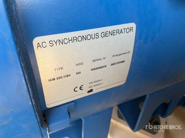 Generador industriale 2019 FG Wilson P200-3 200 kVA Skid-Mounted Generator Set: foto 6 Generador industriale 2019 FG Wilson P200-3 200 kVA Skid-Mounted Generator Set: foto 6