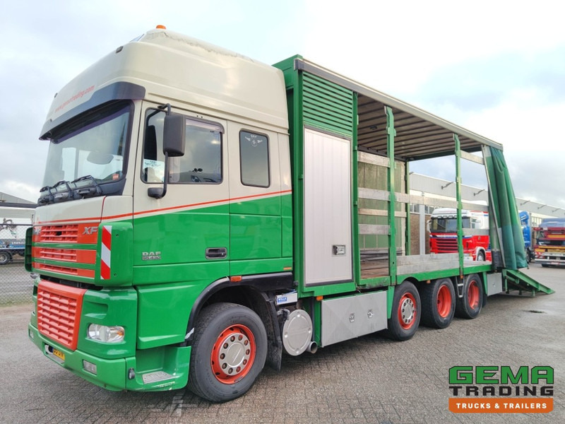 DAF FAK XF95.430 8x2 Super SuperSpaceCab Euro3 - CurtainSider 7.31m + Ramp 16T - MachineTransporter - 6 Persons (V558) - Camión portavehículos: foto 1 DAF FAK XF95.430 8x2 Super SuperSpaceCab Euro3 - CurtainSider 7.31m + Ramp 16T - MachineTransporter - 6 Persons (V558) - Camión portavehículos: foto 1