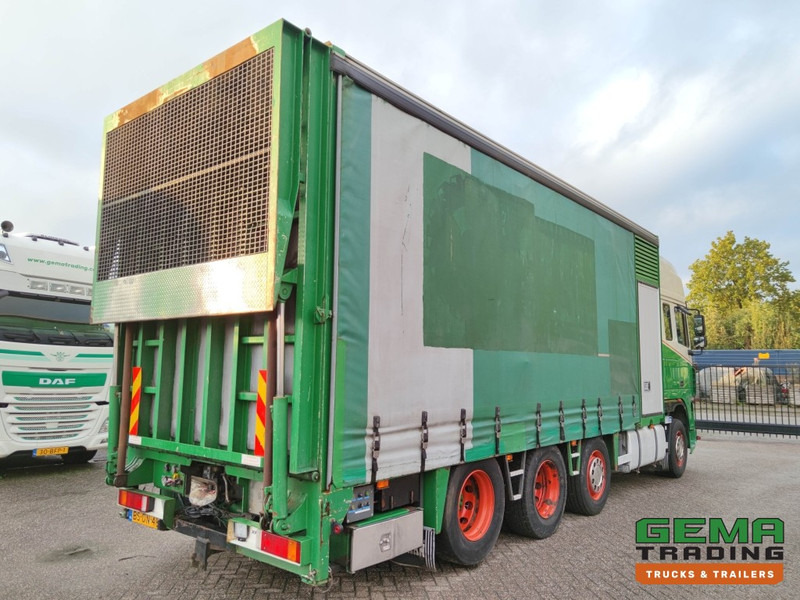 DAF FAK XF95.430 8x2 Super SuperSpaceCab Euro3 - CurtainSider 7.31m + Ramp 16T - MachineTransporter - 6 Persons (V558) - Camión portavehículos: foto 4 DAF FAK XF95.430 8x2 Super SuperSpaceCab Euro3 - CurtainSider 7.31m + Ramp 16T - MachineTransporter - 6 Persons (V558) - Camión portavehículos: foto 4