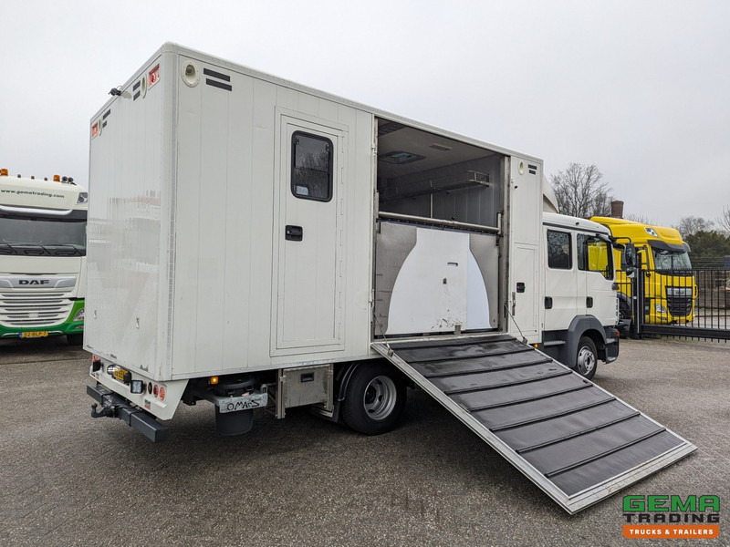 Camión para caballos MAN TGL 12.180 4x2 DoKa 7 pers. Euro5 EEV - Paardenwagen 2-Paards - 147.000km! - MARGE: foto 16