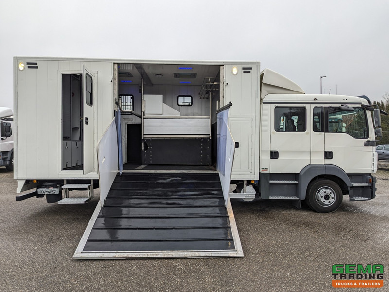 Camión para caballos MAN TGL 12.180 4x2 DoKa 7 pers. Euro5 EEV - Paardenwagen 2-Paards - 147.000km! - MARGE: foto 9