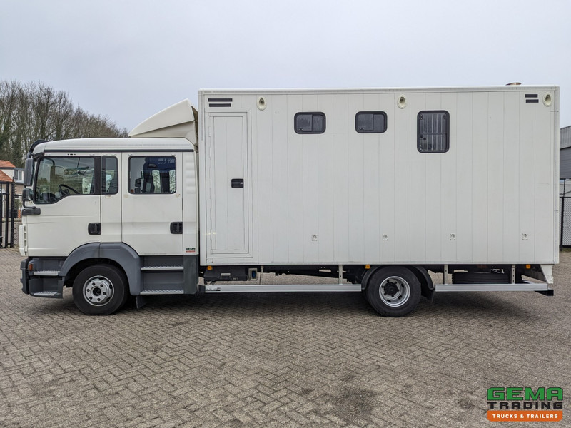 Camión para caballos MAN TGL 12.180 4x2 DoKa 7 pers. Euro5 EEV - Paardenwagen 2-Paards - 147.000km! - MARGE: foto 10