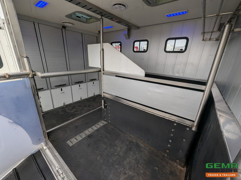 Camión para caballos MAN TGL 12.180 4x2 DoKa 7 pers. Euro5 EEV - Paardenwagen 2-Paards - 147.000km! - MARGE: foto 6