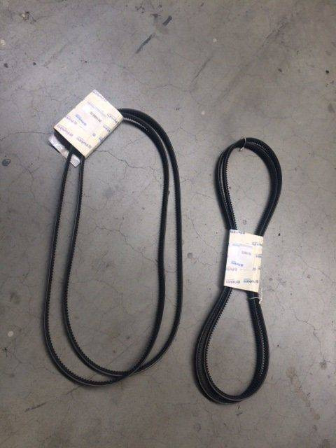 4x Perkins V belt - Correa para Equipo de manutención: foto 1 4x Perkins V belt - Correa para Equipo de manutención: foto 1