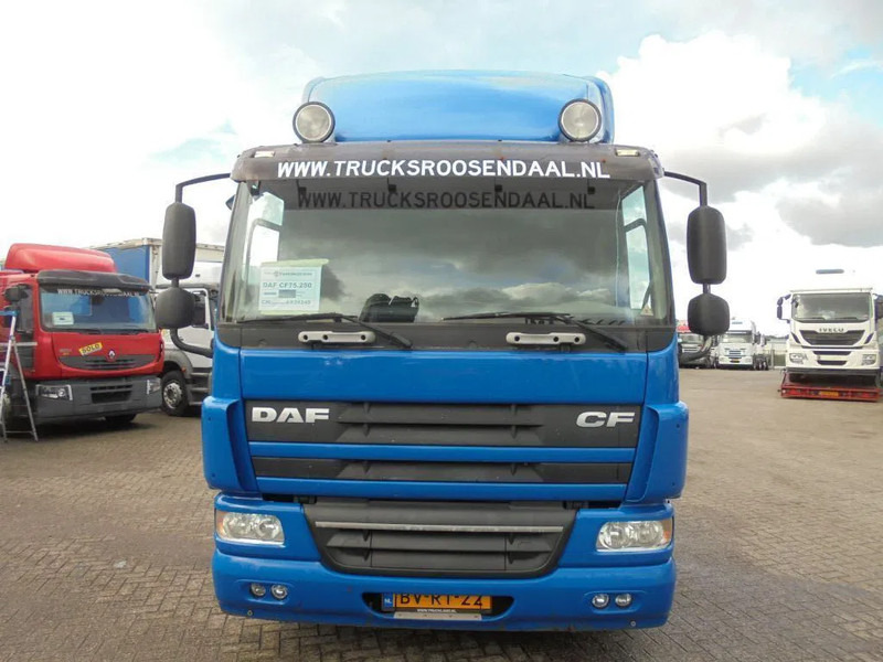 DAF CF 75.250 + Euro 5 - Camión chasis: foto 2 DAF CF 75.250 + Euro 5 - Camión chasis: foto 2