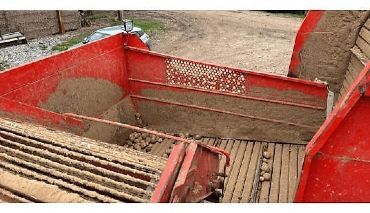 Grimme dr1500 - Arrancadora de patatas: foto 3 Grimme dr1500 - Arrancadora de patatas: foto 3