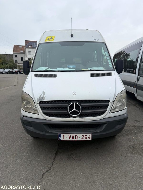 Mercedes Sprinter - Minibús, Furgoneta de pasajeros: foto 2 Mercedes Sprinter - Minibús, Furgoneta de pasajeros: foto 2