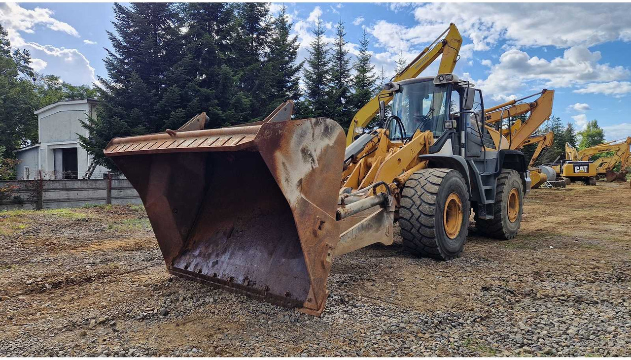 Liebherr 2011 LIEBHERR L550 WHEELED LOADER - Cargadora de ruedas: foto 1 Liebherr 2011 LIEBHERR L550 WHEELED LOADER - Cargadora de ruedas: foto 1