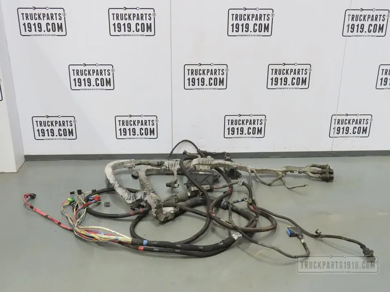 DAF 2177915 | Motorkabelboom J2B MX13 - Cables/ Alambres para Camión: foto 1 DAF 2177915 | Motorkabelboom J2B MX13 - Cables/ Alambres para Camión: foto 1