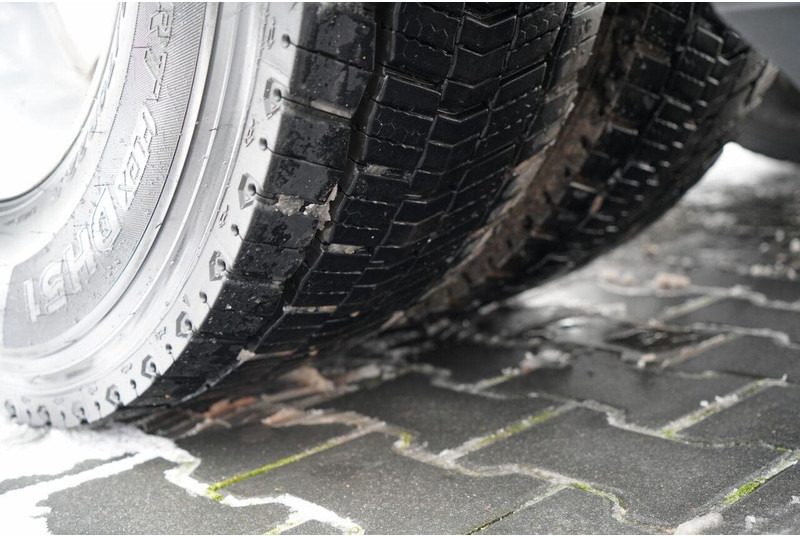 Cabeza tractora Renault T 520 / SKÓRY / ALUFELGI: foto 20