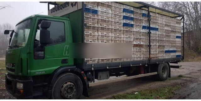 Iveco Eurocargo 180E28 - Camión transporte de ganado: foto 1 Iveco Eurocargo 180E28 - Camión transporte de ganado: foto 1