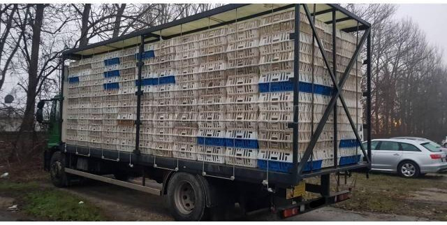 Iveco Eurocargo 180E28 - Camión transporte de ganado: foto 3 Iveco Eurocargo 180E28 - Camión transporte de ganado: foto 3