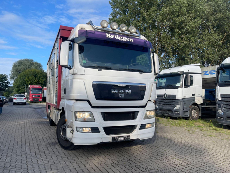 MAN TGX 26.400 6x2-2 LL 3 Stück Finkl Hubdach - Camión transporte de ganado: foto 4 MAN TGX 26.400 6x2-2 LL 3 Stück Finkl Hubdach - Camión transporte de ganado: foto 4