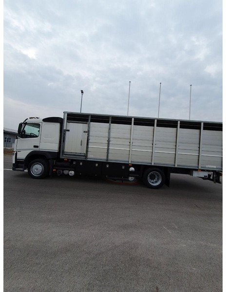 Volvo FM 500 Viehtransporter ( Rind / beef ) - Camión transporte de ganado: foto 5 Volvo FM 500 Viehtransporter ( Rind / beef ) - Camión transporte de ganado: foto 5